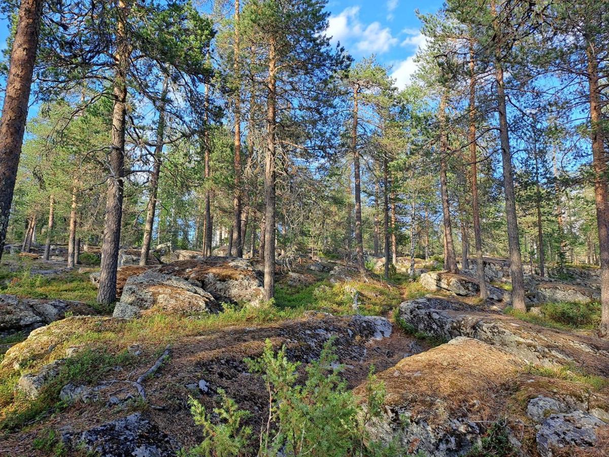 Room In Polar Circle 罗瓦涅米 外观 照片