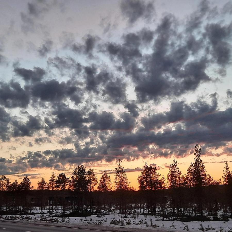 Room In Polar Circle 罗瓦涅米 外观 照片